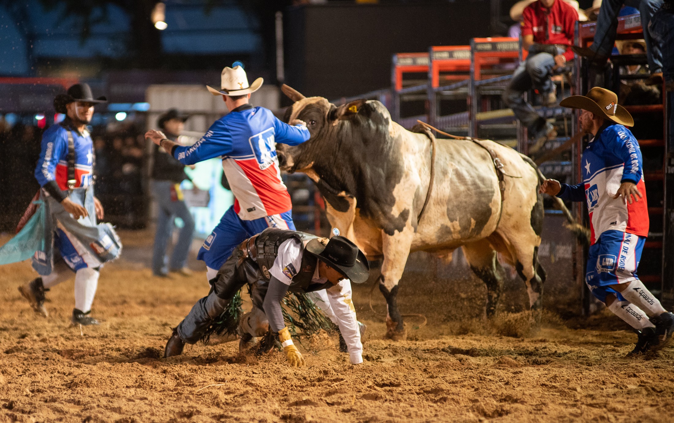 Dennis faz público descer até o chão ao som do funk no Ribeirão Rodeo ...