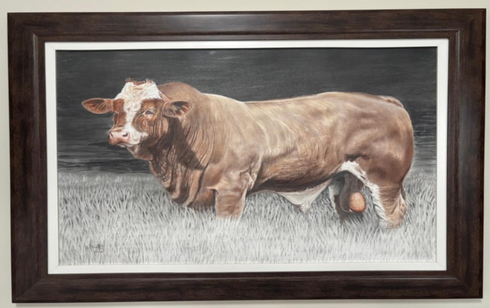 O artista de Sarapuí reproduz os desenhos a partir da observação do detalhe desses animais — Foto: Arquivo pessoal/Bosco Buonanato Acceti