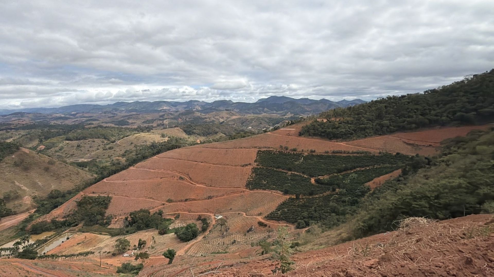 Operação contra desmatamento ilegal embarga área equivalente a mais de 100 campos de futebol no ES
