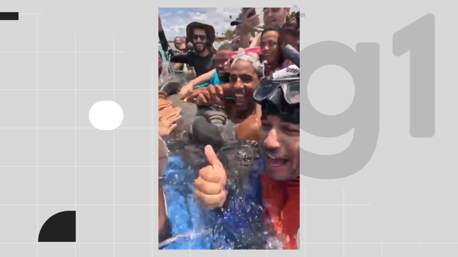 Peixe-boi é cercado por banhistas e vídeo mostra grupos tocando em animal na Praia do Cupe; conduta é ilegal, diz ICMBio