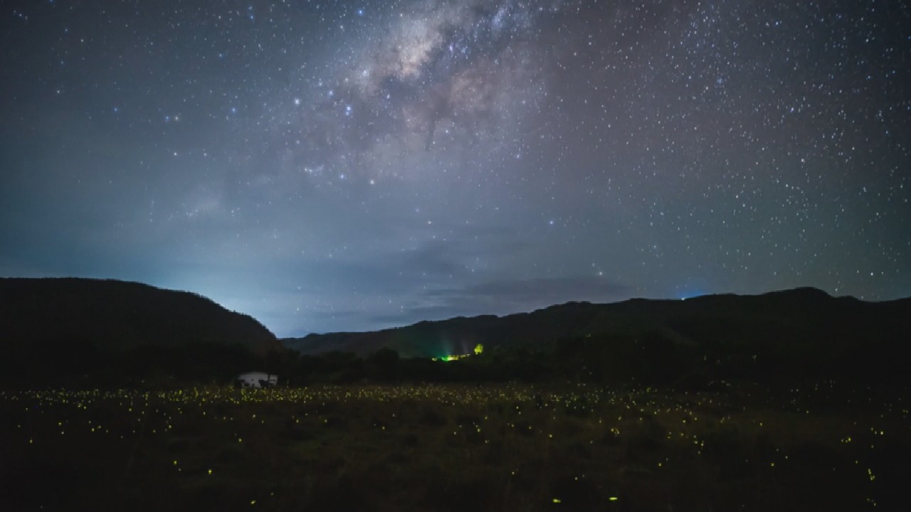 Espetáculo da natureza: vaga-lumes surpreendem na Chapada dos Veadeiros 