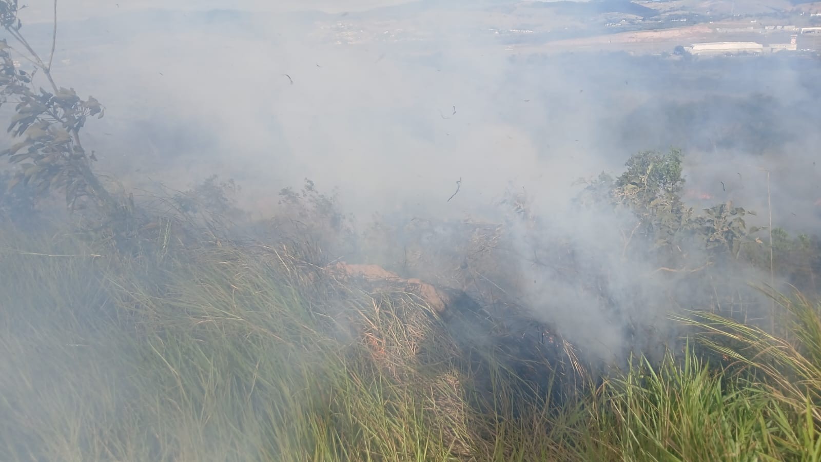 Incêndio de grandes proporções atinge área de 50 mil m² no Parque Itaim, em Taubaté