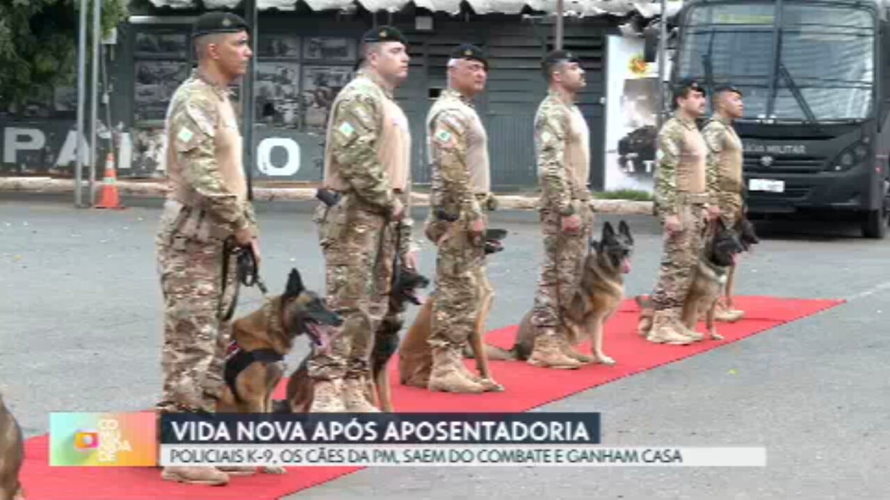 VÍDEOS: Globo Comunidade DF de domingo, 27 de outubro de 2024