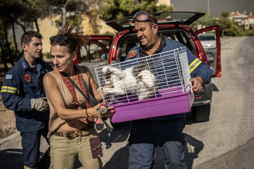 Moradora deixa sua casa com gatinho na cidade de Dione — Foto: Angelos TZORTZINIS / AFP