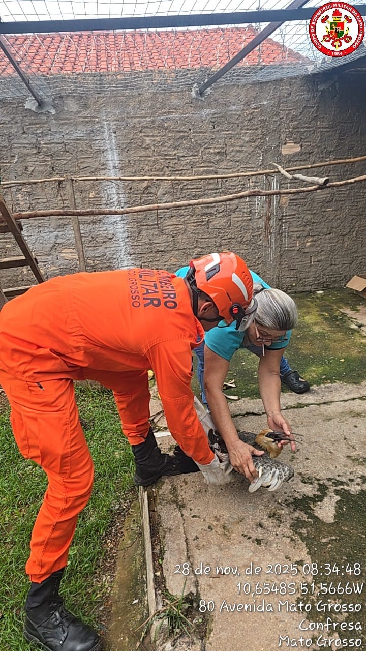 Você Não Tá Convidada pro Meu Bat Mitzvá!