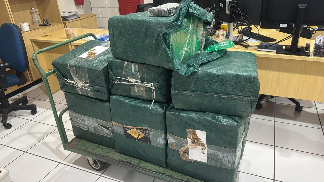 Cerca de 350 kg de cocaína são apreendidos em caminhão na Rodovia Washington Luís 