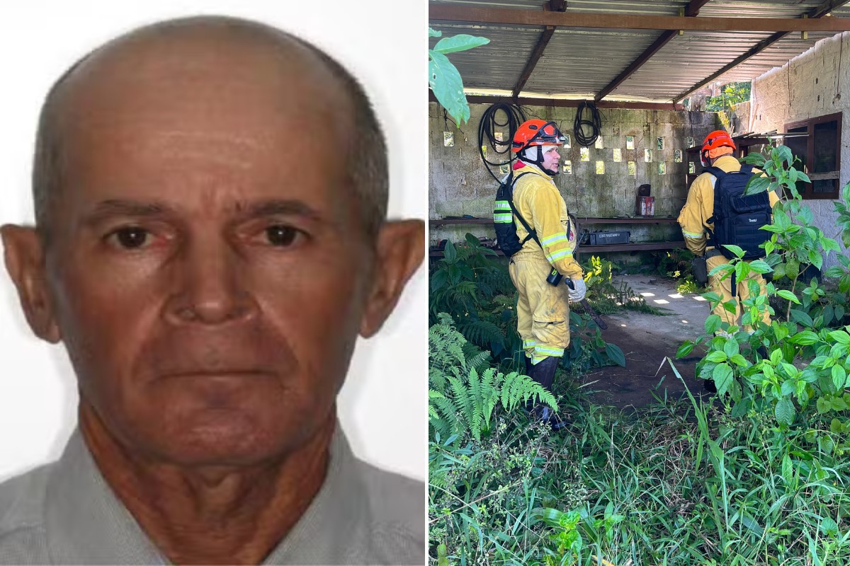 Mata fechada, animais perigosos e difícil acesso: conheça área onde idoso desapareceu no litoral de SP