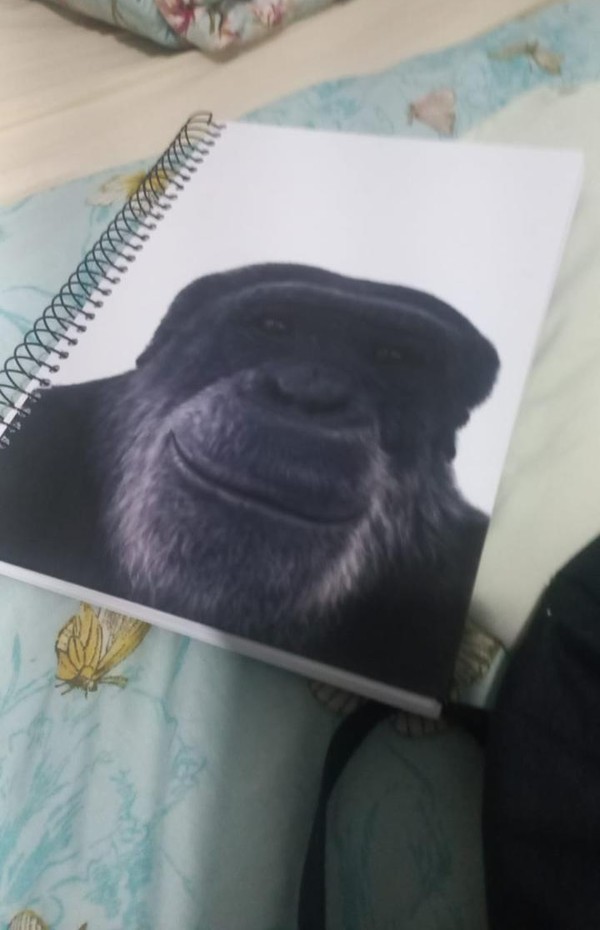 Caderno com imagem de chimpanzé levado por aluno à sala de aula em Maceió — Foto: Reprodução
