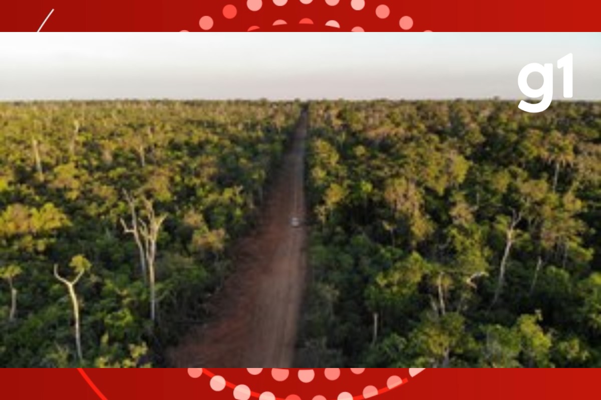 MPF investiga construção de estrada dentro da Terra Indígena Parque do Xingu em MT