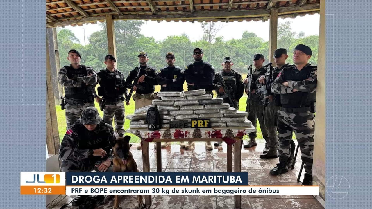 Polícia apreende mais de 30 kg de 'super maconha' na BR-316, no PA