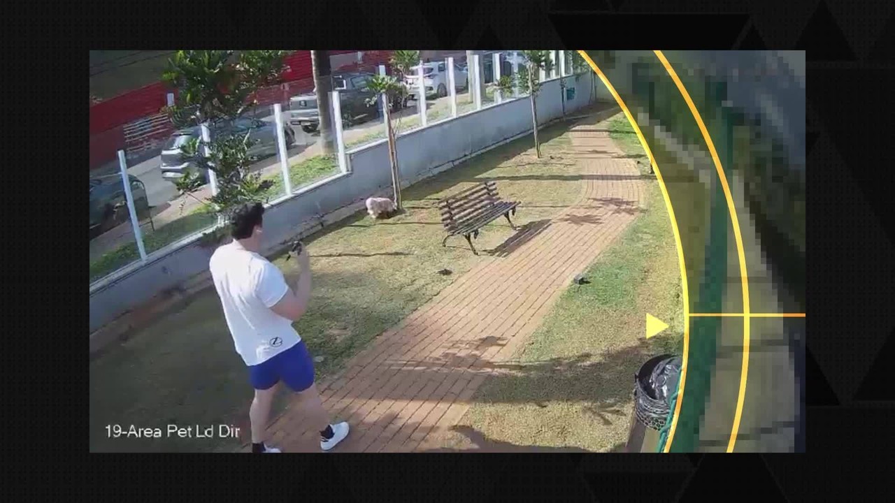 Vídeos exclusivos mostram empresário passeando com cães e na academia após matar gari em BH