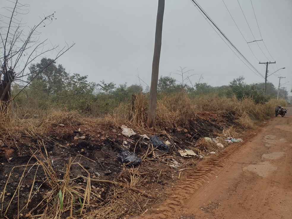 Ossada humana é encontrada em pastagem em Araçatuba (SP) — Foto: Polícia Militar/Divulgação