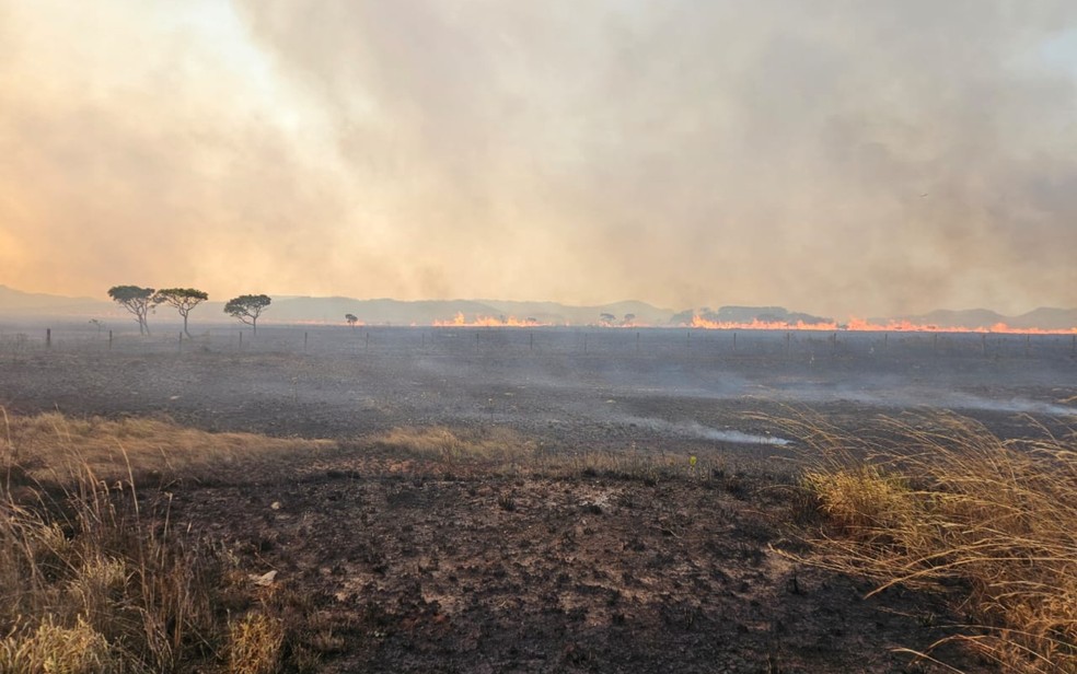 Incêndio no Parque Nacional da Chapada dos Veadeiros, em Goiás — Foto: Divulgação / PNCV
