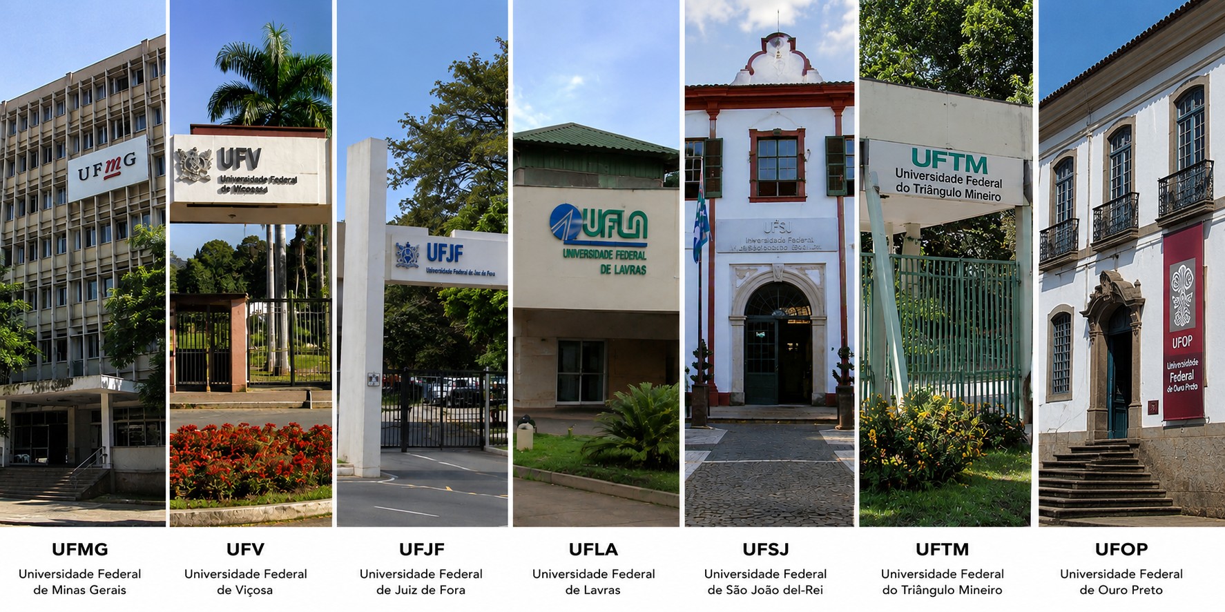 Universidades de MG perdem posições em ranking mundial; veja lista