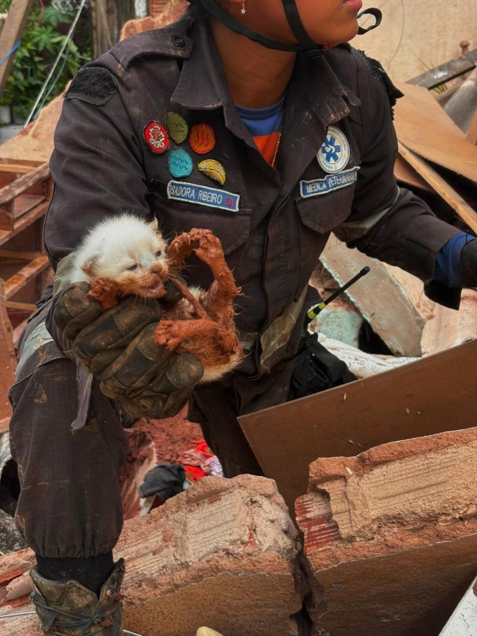 Vídeo mostra cachorro sendo resgatado em meio a escombros em Juiz de Fora