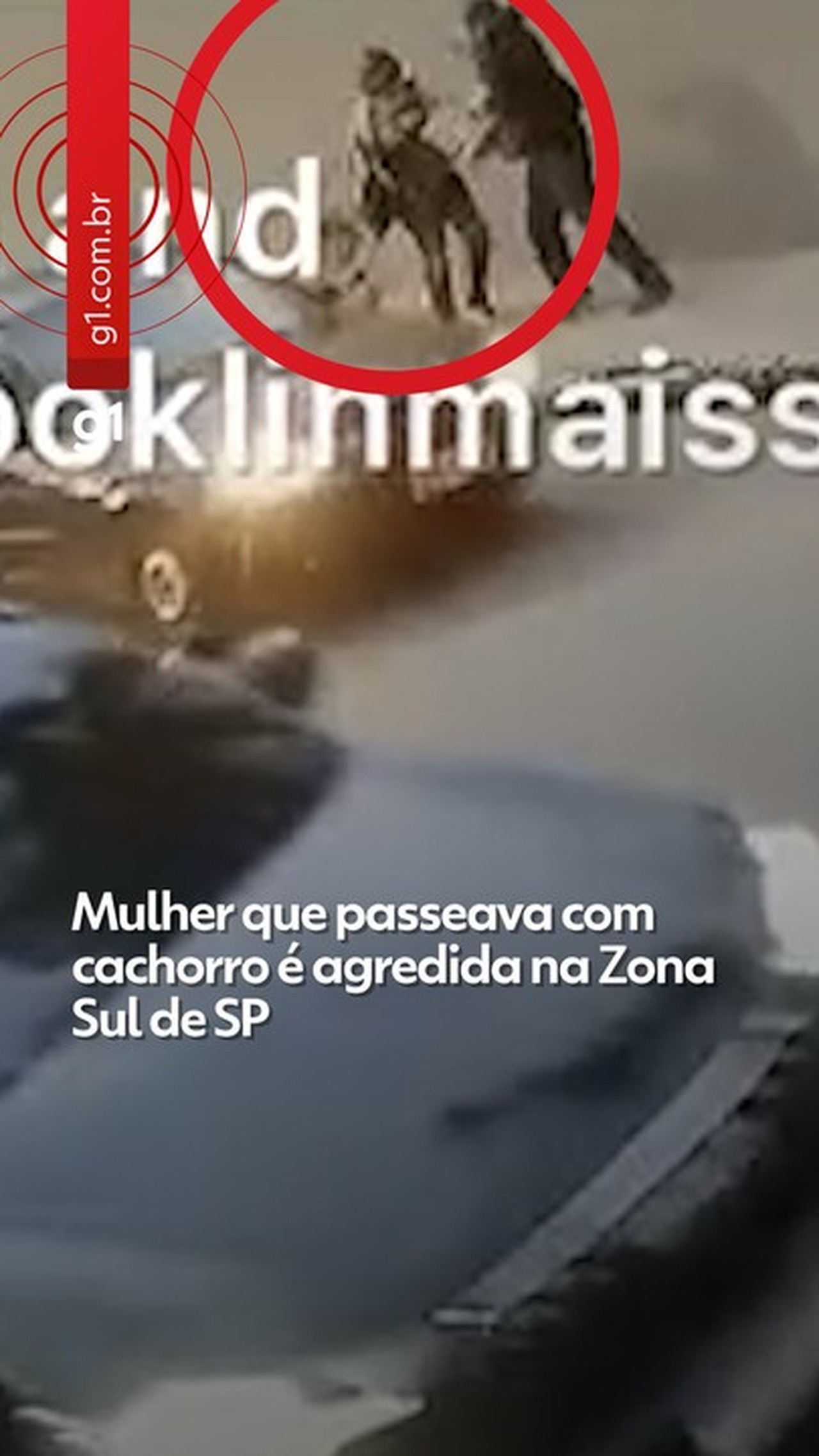 Mulher que passeava com cachorro é agredida a socos na Zona Sul de SP