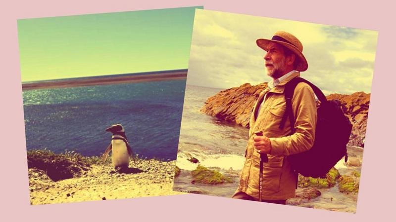 O pinguim que seguiu um professor em uma praia no Uruguai e foi viver com ele na Argentina