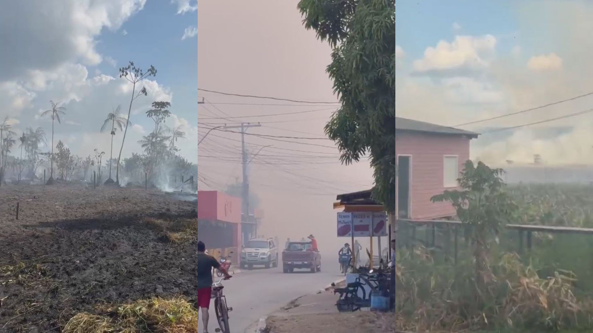 Incêndio em vegetação é controlado após ameaçar casas em Vitória do Jari; VÍDEO 