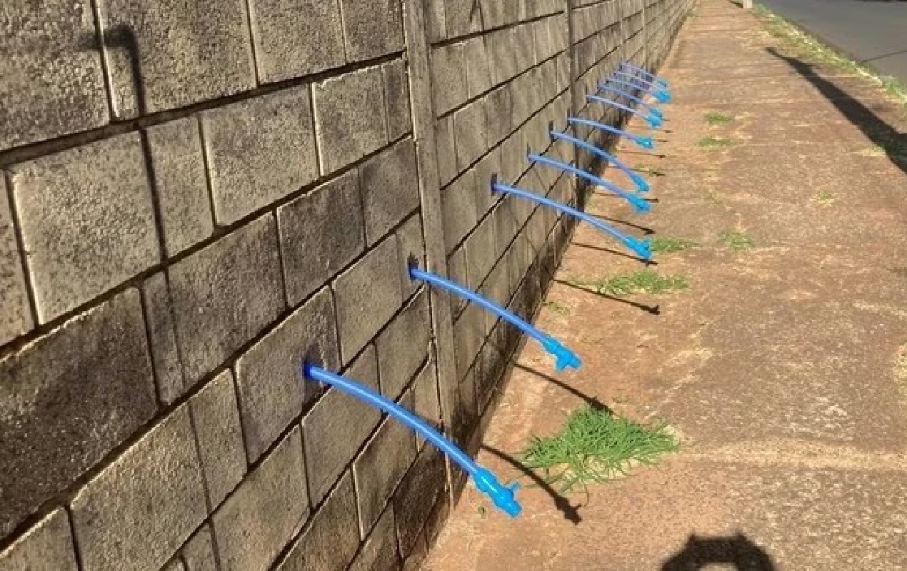 Você Não Tá Convidada pro Meu Bat Mitzvá!