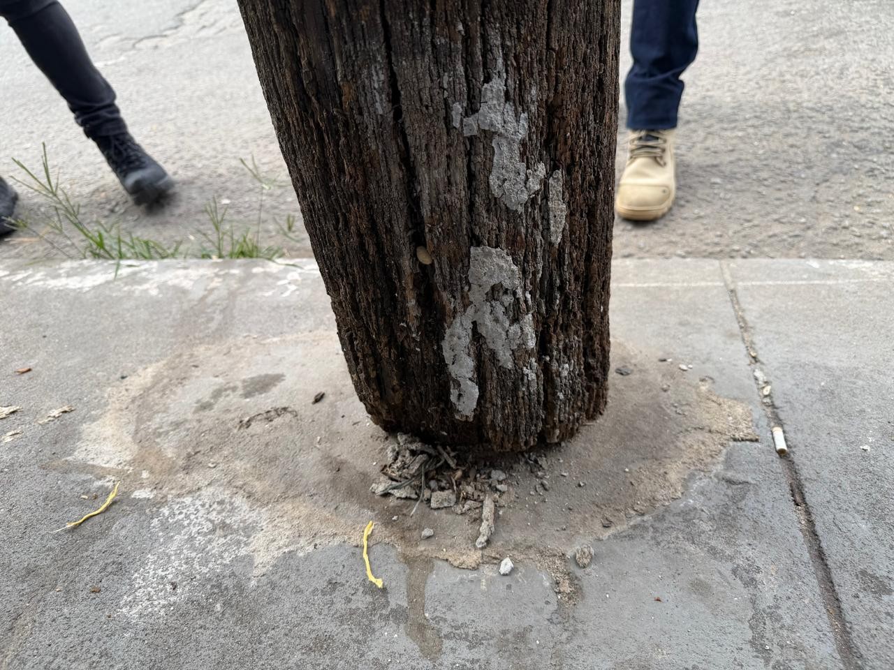 Postes com cupins e risco de queda são identificados em Cabo Frio; Enel será notificada