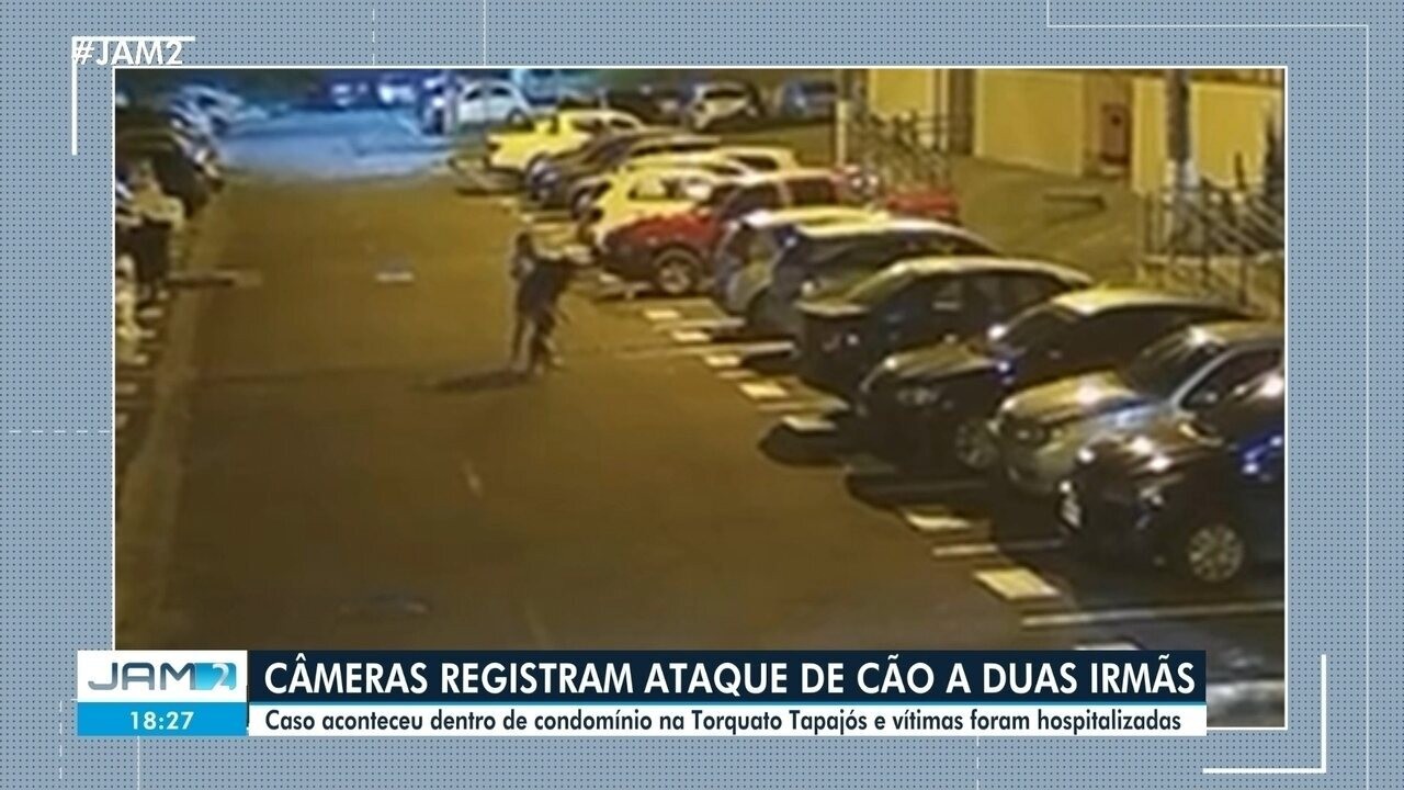 Irmãs são atacadas por pitbull dentro de condomínio em Manaus