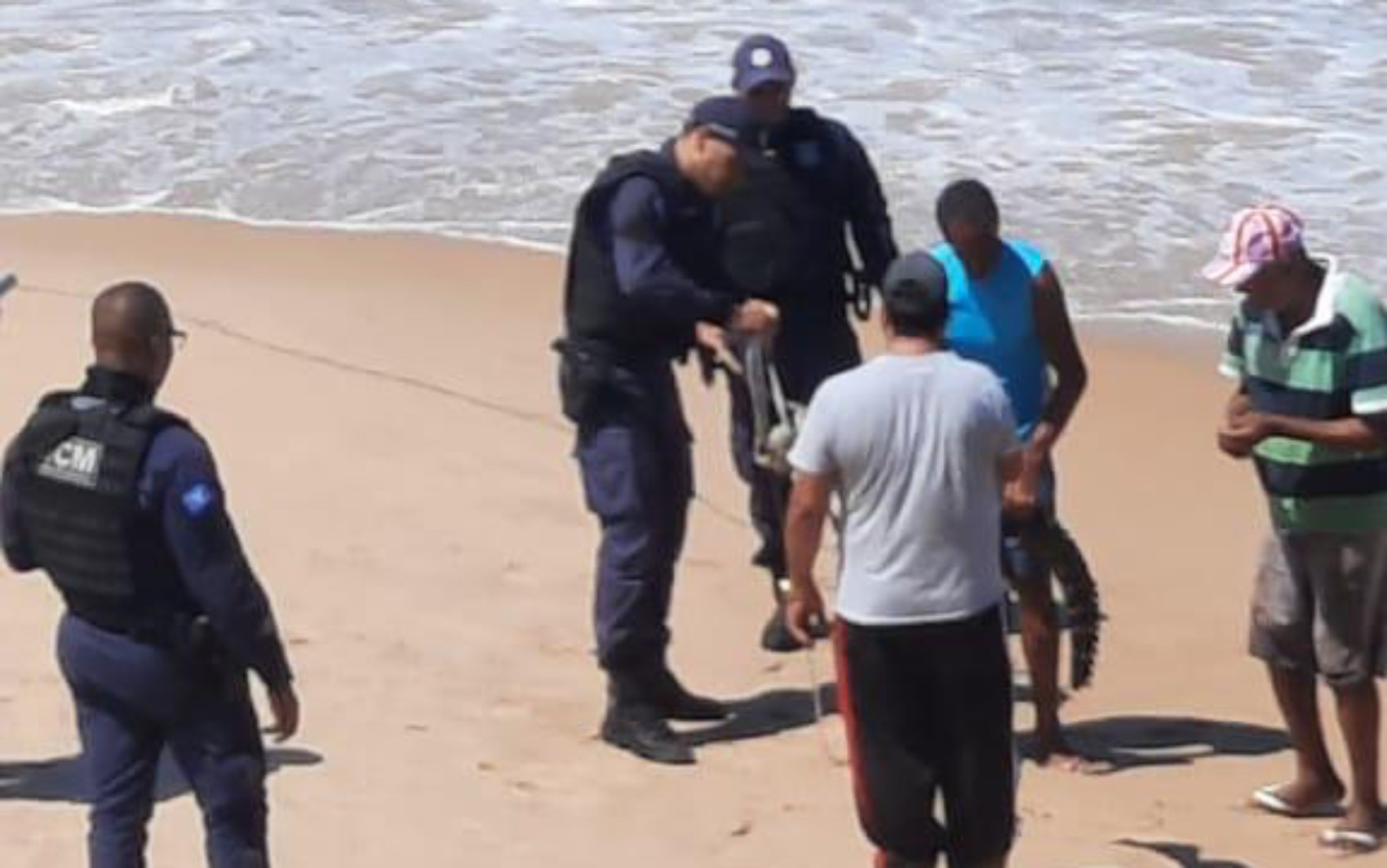 VÍDEO: jacaré é resgatado em praia de Salvador