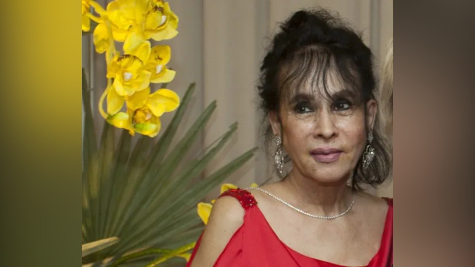 Morre Sônia Pinheiro, jornalista e referência do colunismo social no Ceará