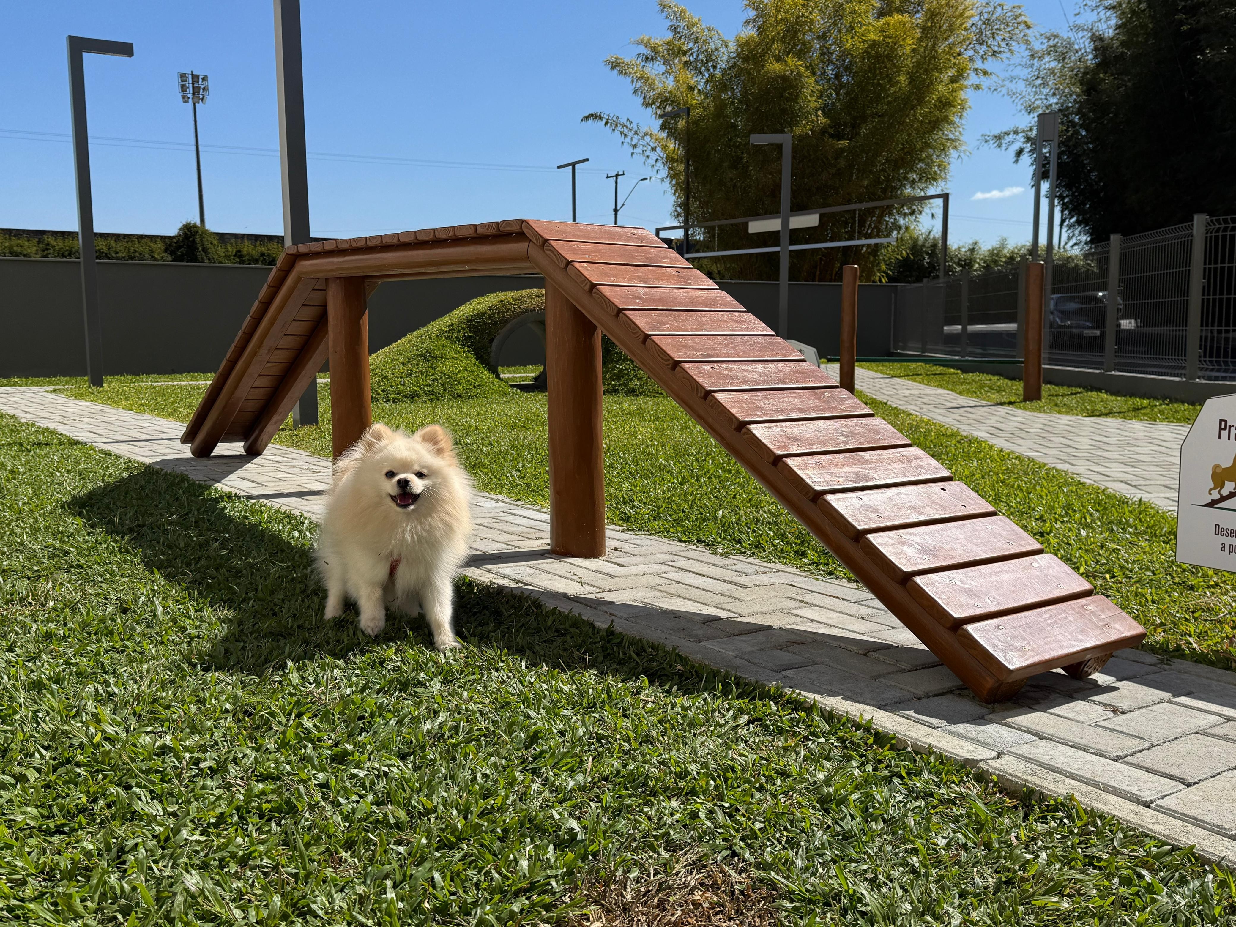 Jockey Plaza Shopping inaugura Espaço Pet com diversão gratuita para os animais de estimação
