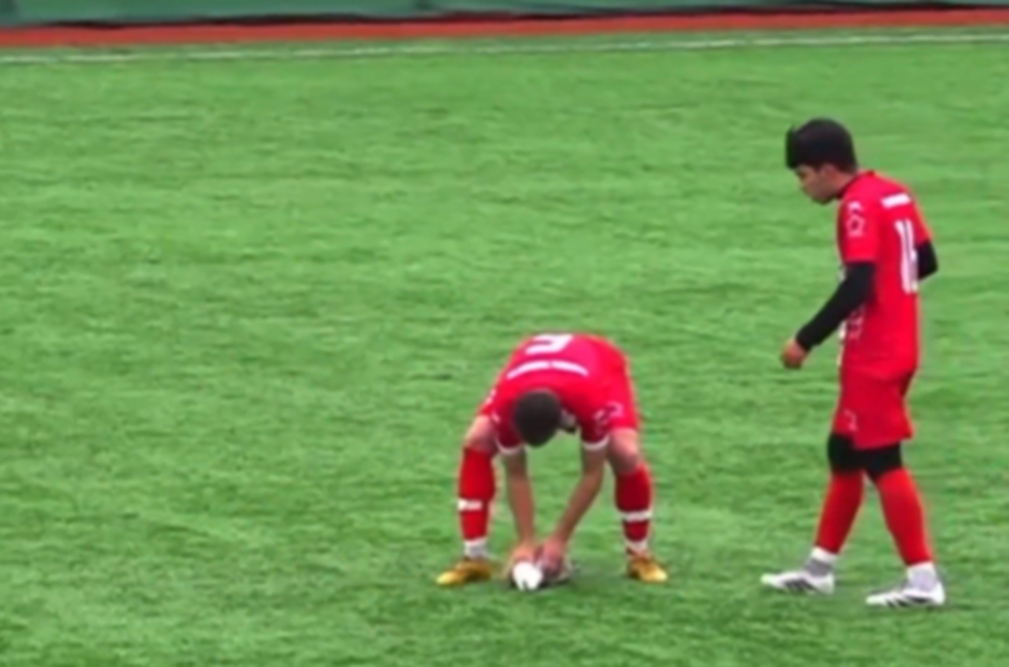 É #FATO: Gaivota é atingida por bolada durante jogo de futebol na Turquia e reanimada por capitão de time; assista