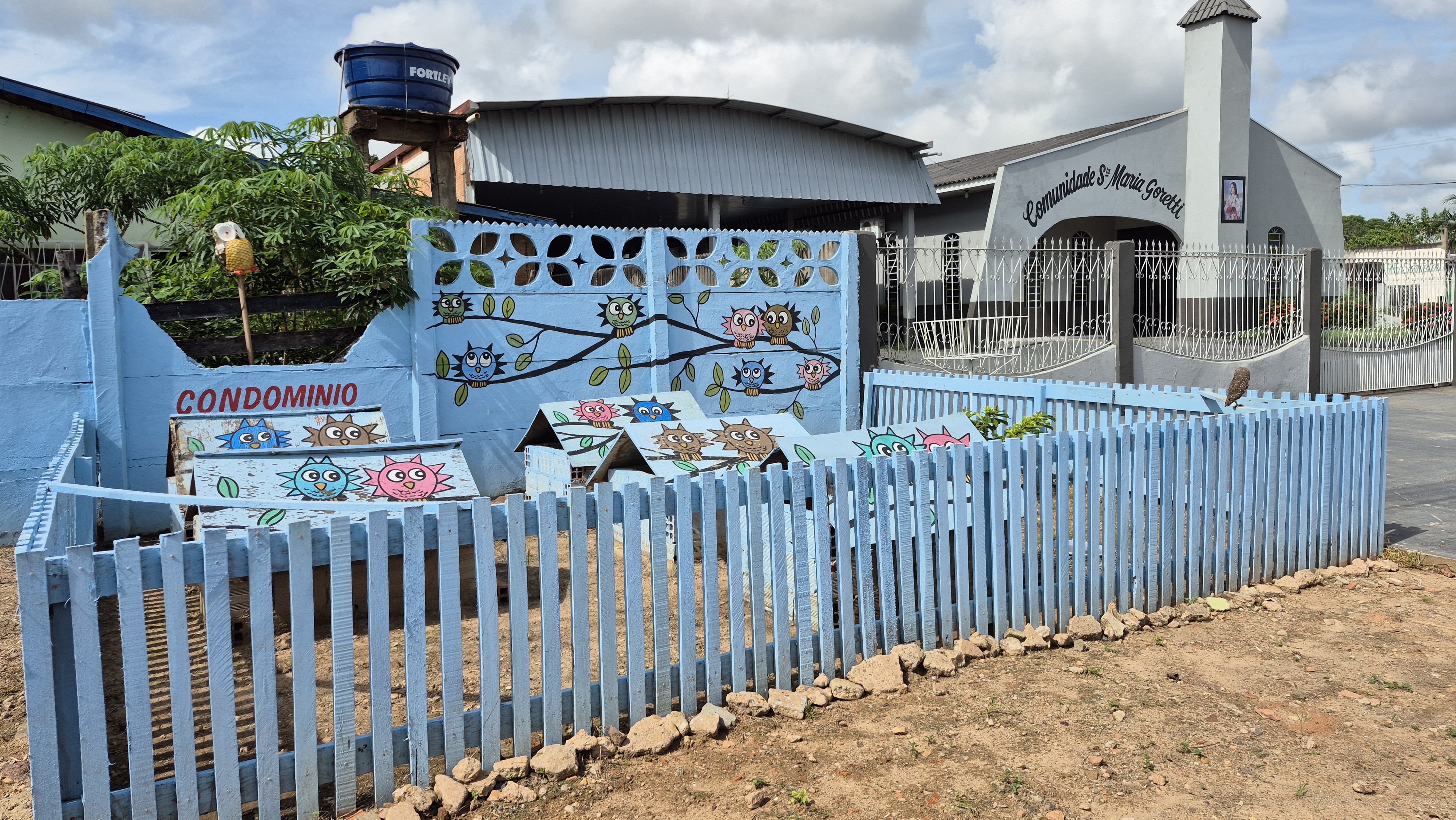 'Condomínio das Corujas': moradores criam abrigo inusitado e transformam calçada em refúgio para aves em RO
