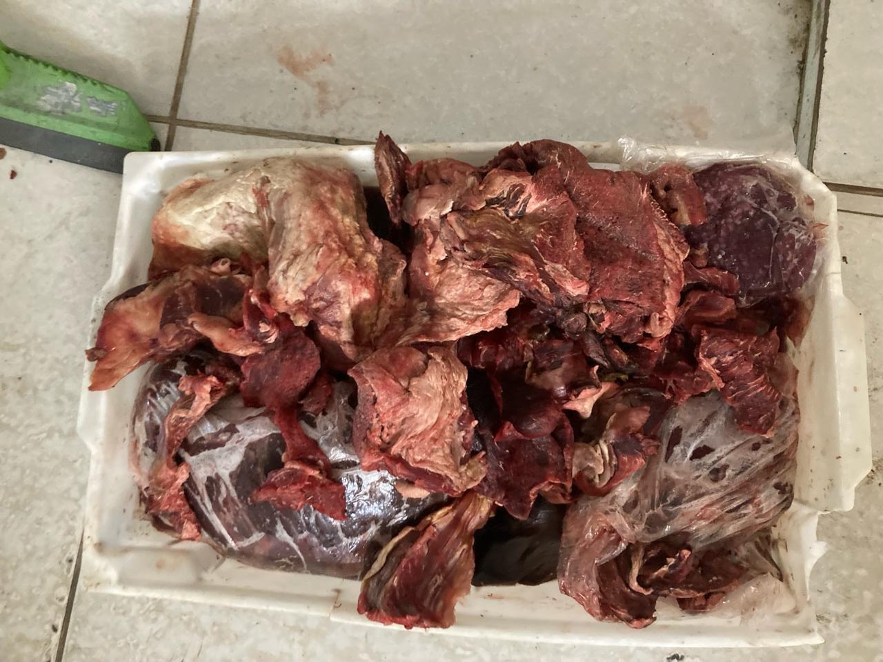 Vigilância Sanitária apreende 110 kg de carnes vencidas em mercadinho na Jatiúca, Maceió