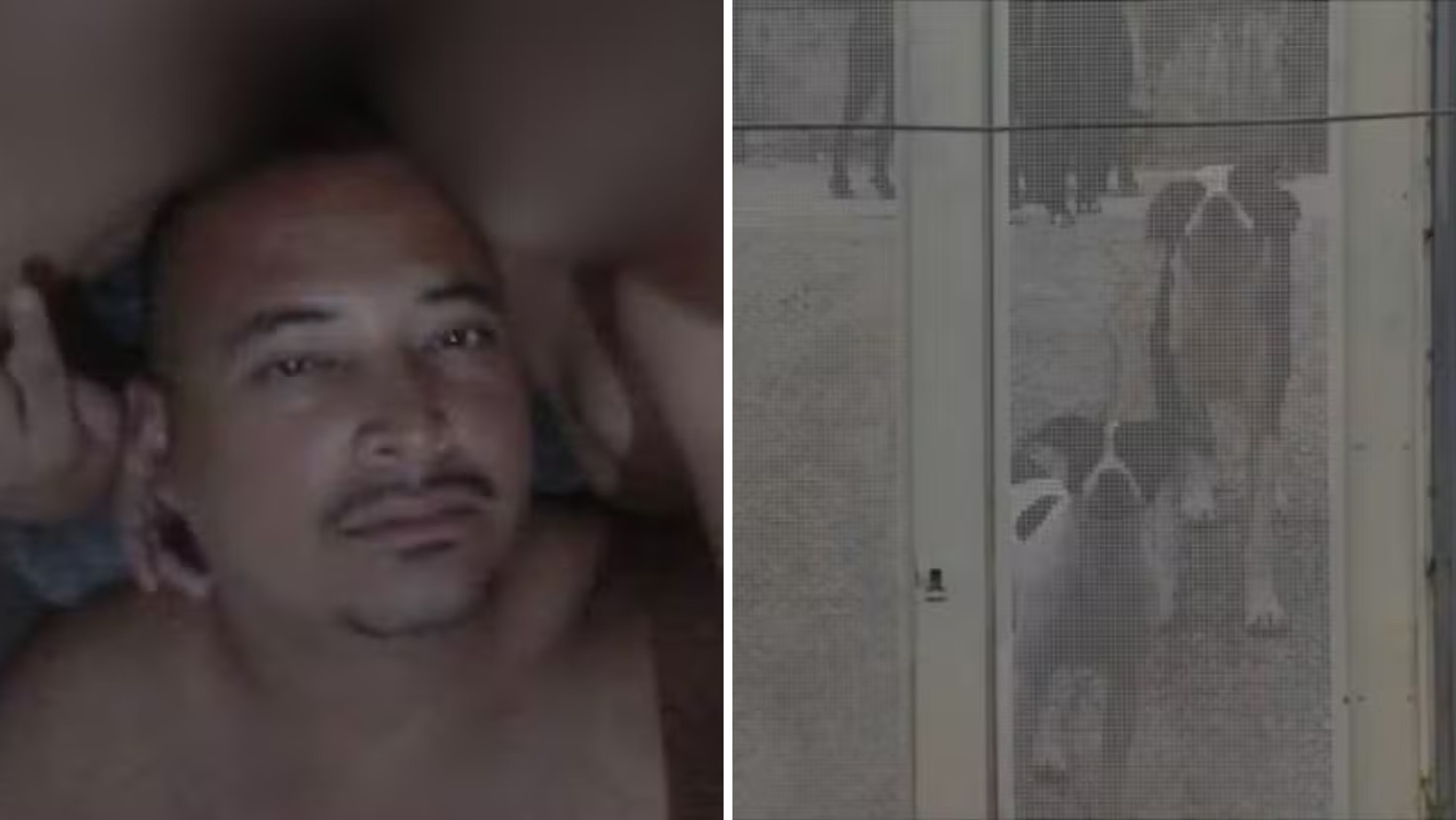 O que se sabe e o que falta esclarecer sobre o caso do ambulante que morreu após ser atacado por 10 cães em SP