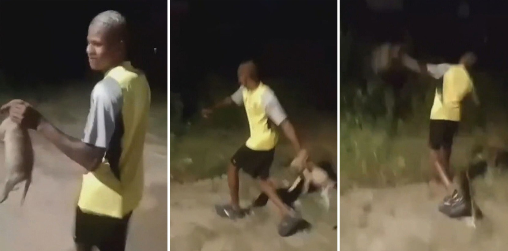 Polícia busca homem que arremessou filhote de cachorro em matagal em Nova Iguaçu; VÍDEO