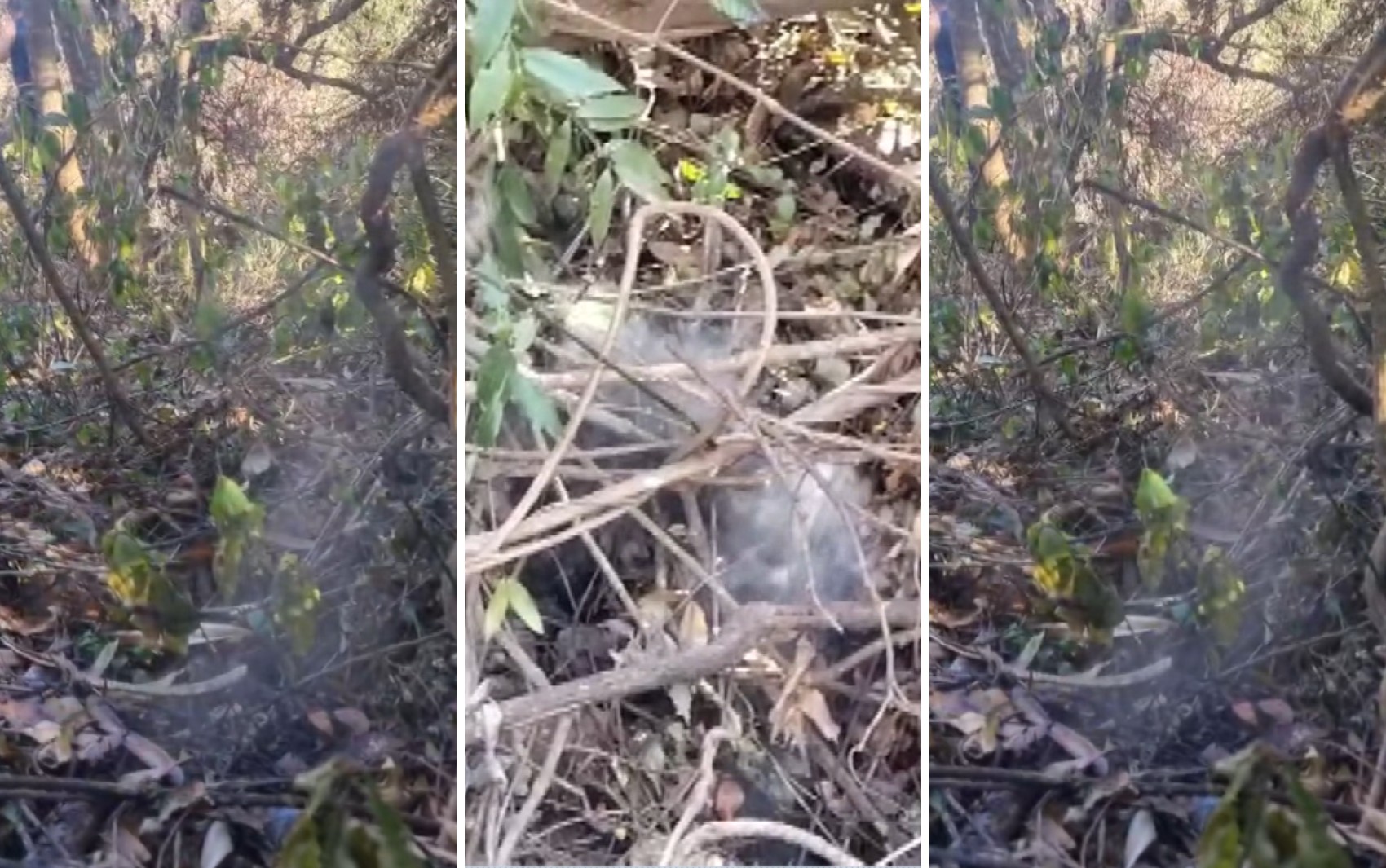 Fumaça brota da terra e preocupa moradores em Franca, SP