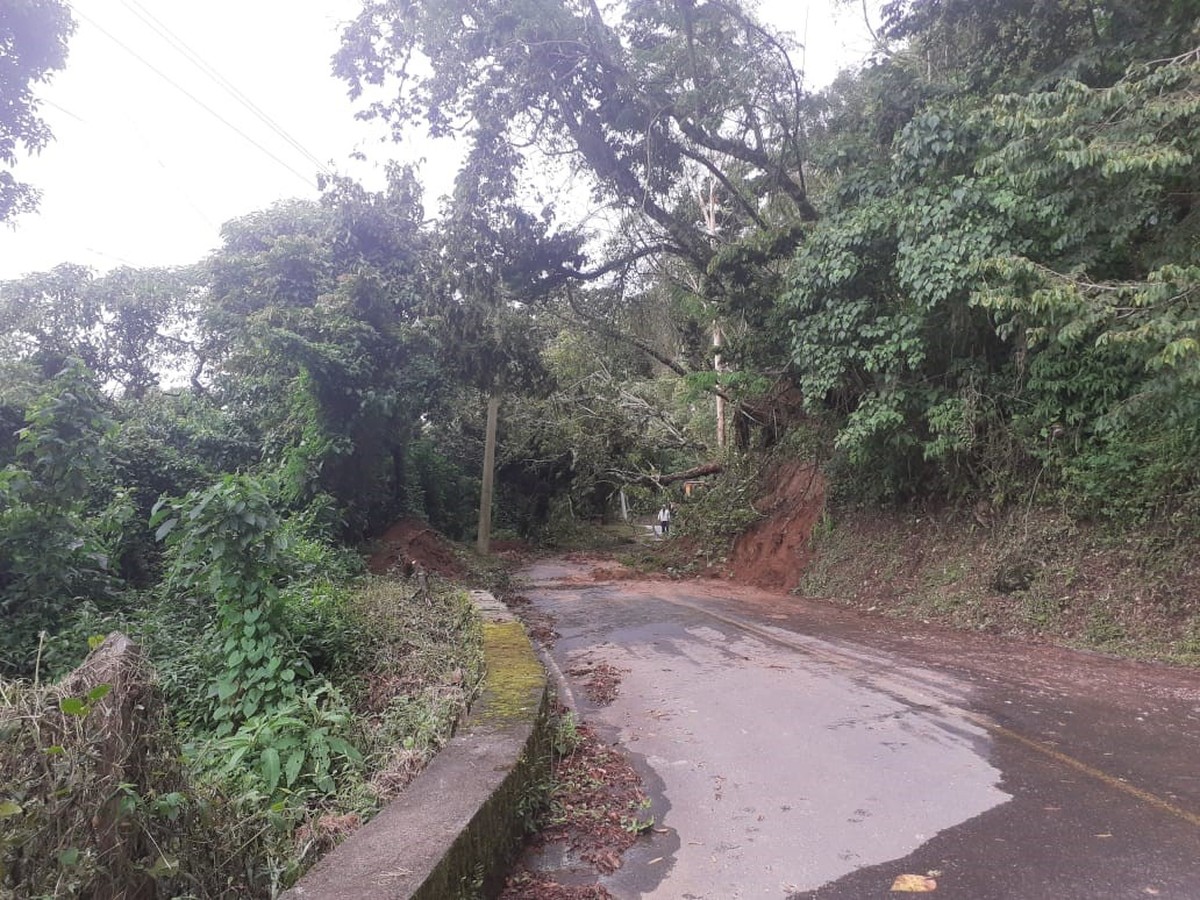 Chuva Causa Deslizamento De Terra Quedas De árvore E Interdita Casas Em Campos Do Jordão Sp 