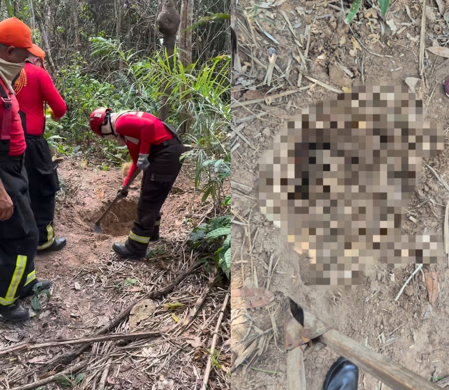 Dois corpos esquartejados são encontrados em área de vegetação, em Imperatriz, no MA