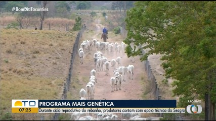 Durante ciclo produtivo do rebanho, produtores contam com apoio técnico da Seagro