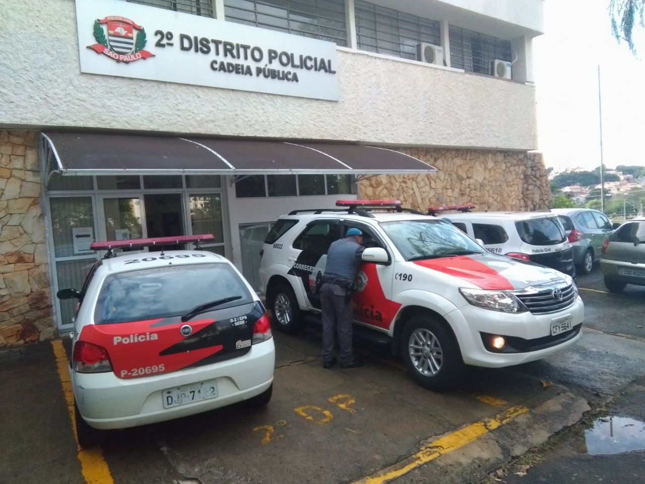 Quatro cavalos são furtados do departamento de bem-estar animal de Campinas