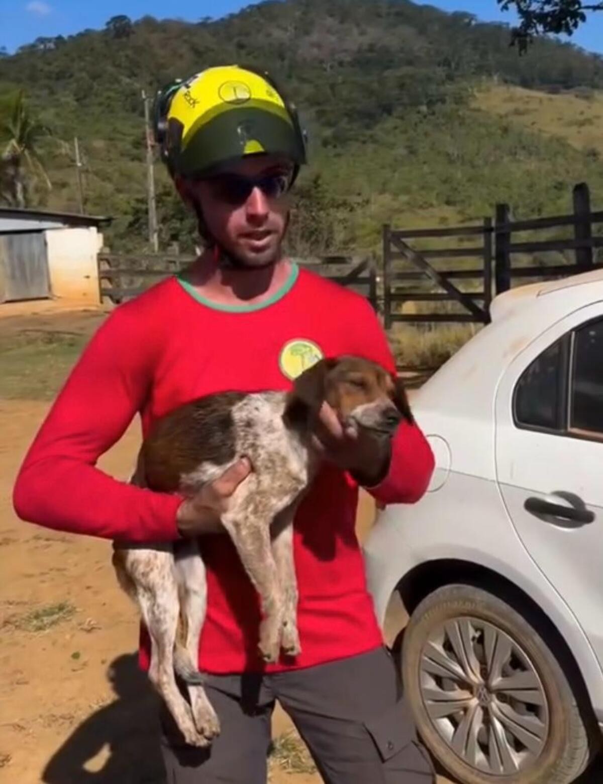Cadela é resgatada de pedreira de 50 metros após três dias de buscas com ajuda de drones e rapel em MG 