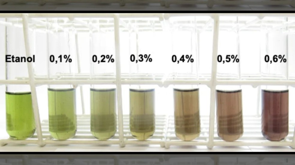 Método identifica metanol em 15 minutos — Foto: Larissa Modesto/Unesp Araraquara