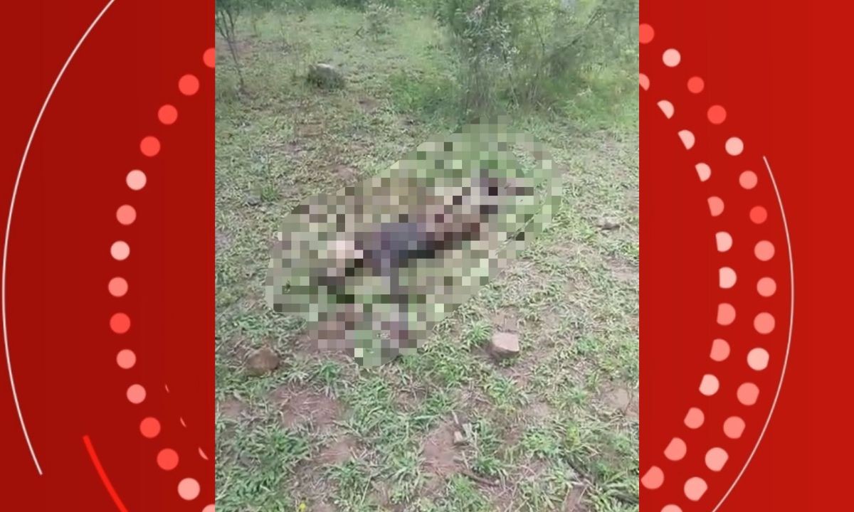 Ossada Humana é Encontrada em Área de Mata Sem Interior da Bahia