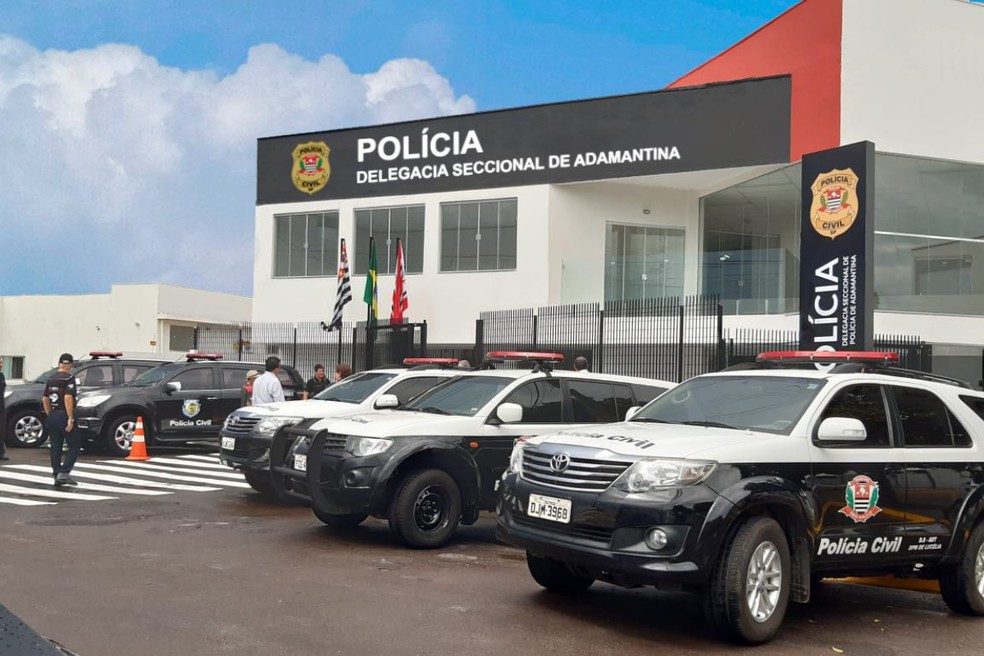 Um dos casos foi registrado na Delegacia Seccional de Adamantina — Foto: Polícia Civil