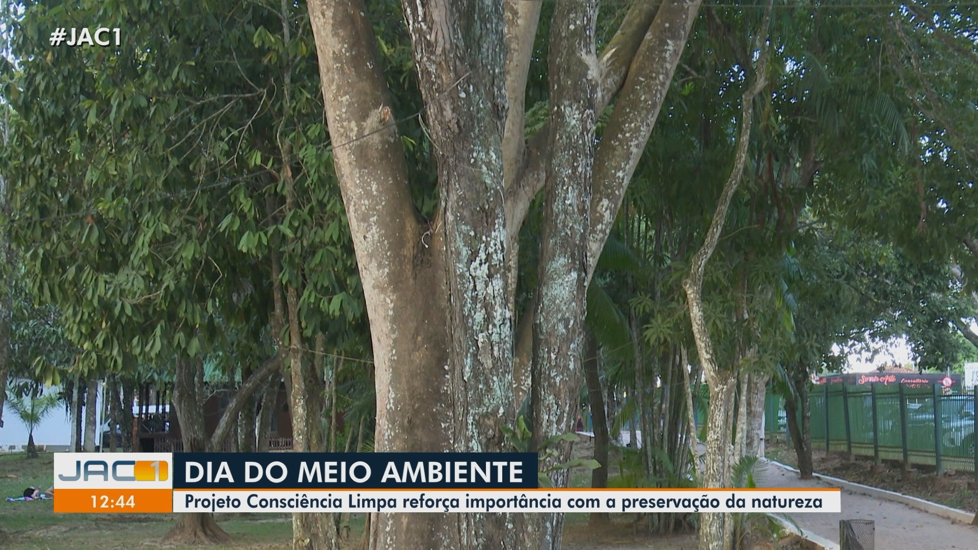 VÍDEOS: Jornal do Acre 1ª Edição desta sexta-feira, 5 de junho de 2026
