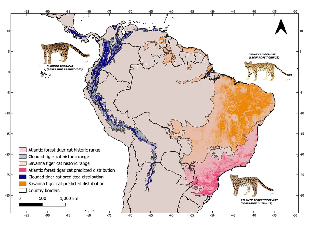Mapa mostra áreas de ocorrência das três espécies — Foto: Tiger Cats Conservation Initiative