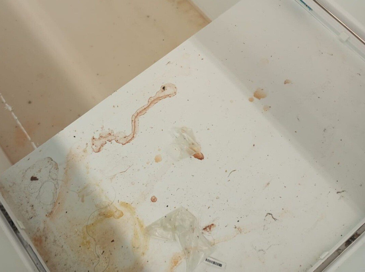 Após vídeo com inseto, Vigilância Sanitária notifica supermercado de Cabo Frio por sujeira e abertura no teto