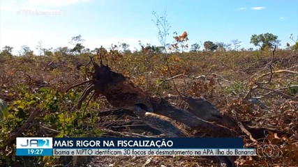 Ibama e MPTO identificam 30 focos de desmatamento na APA Ilha do Bananal
