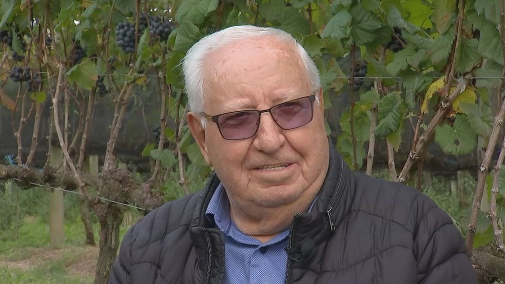 Hélio Góes, dono de vinícola em São Roque — Foto: Reprodução/TV TEM