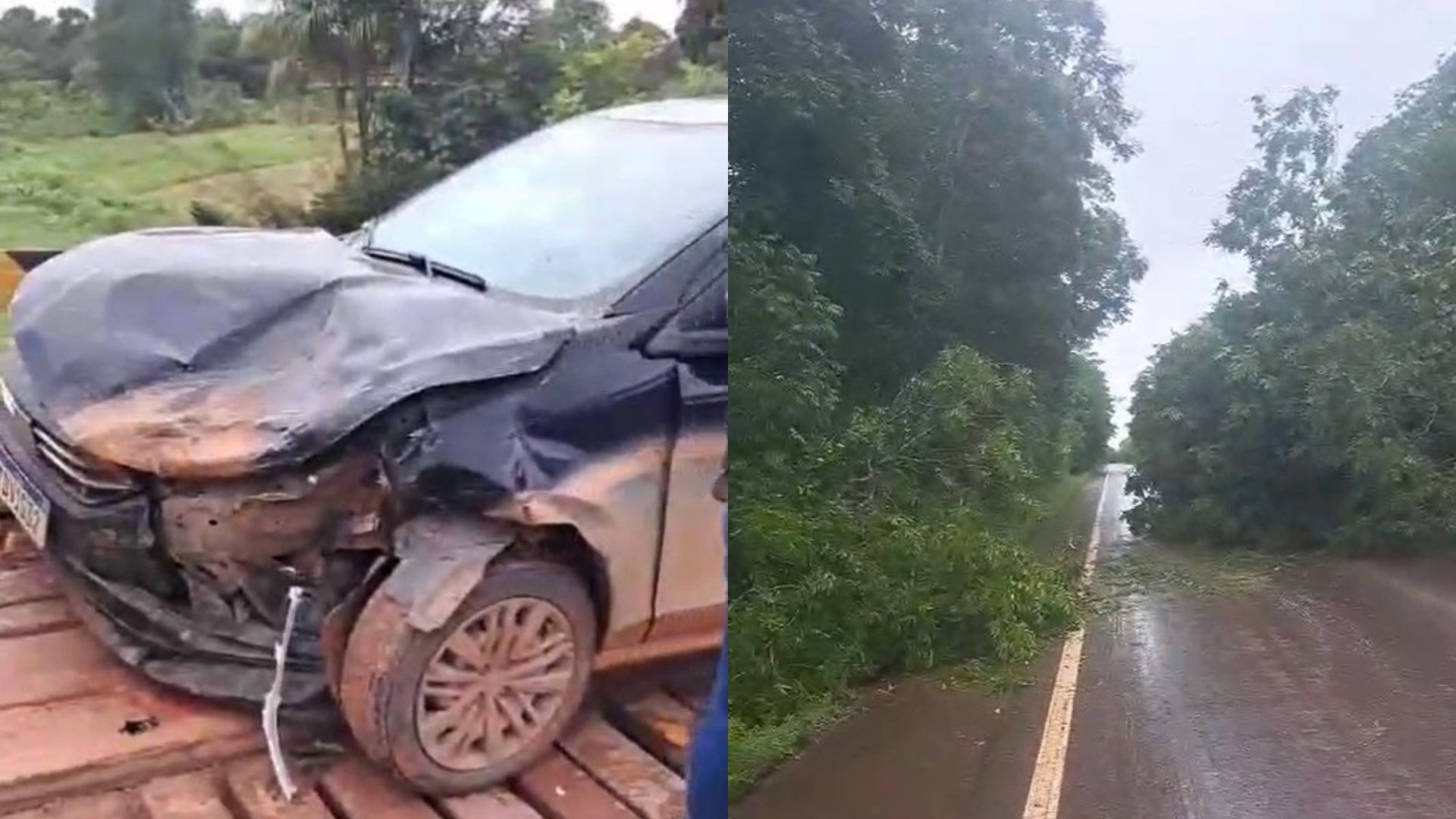 Colisão de carros e queda de árvores em duas rodovias afetam trânsito no Amapá