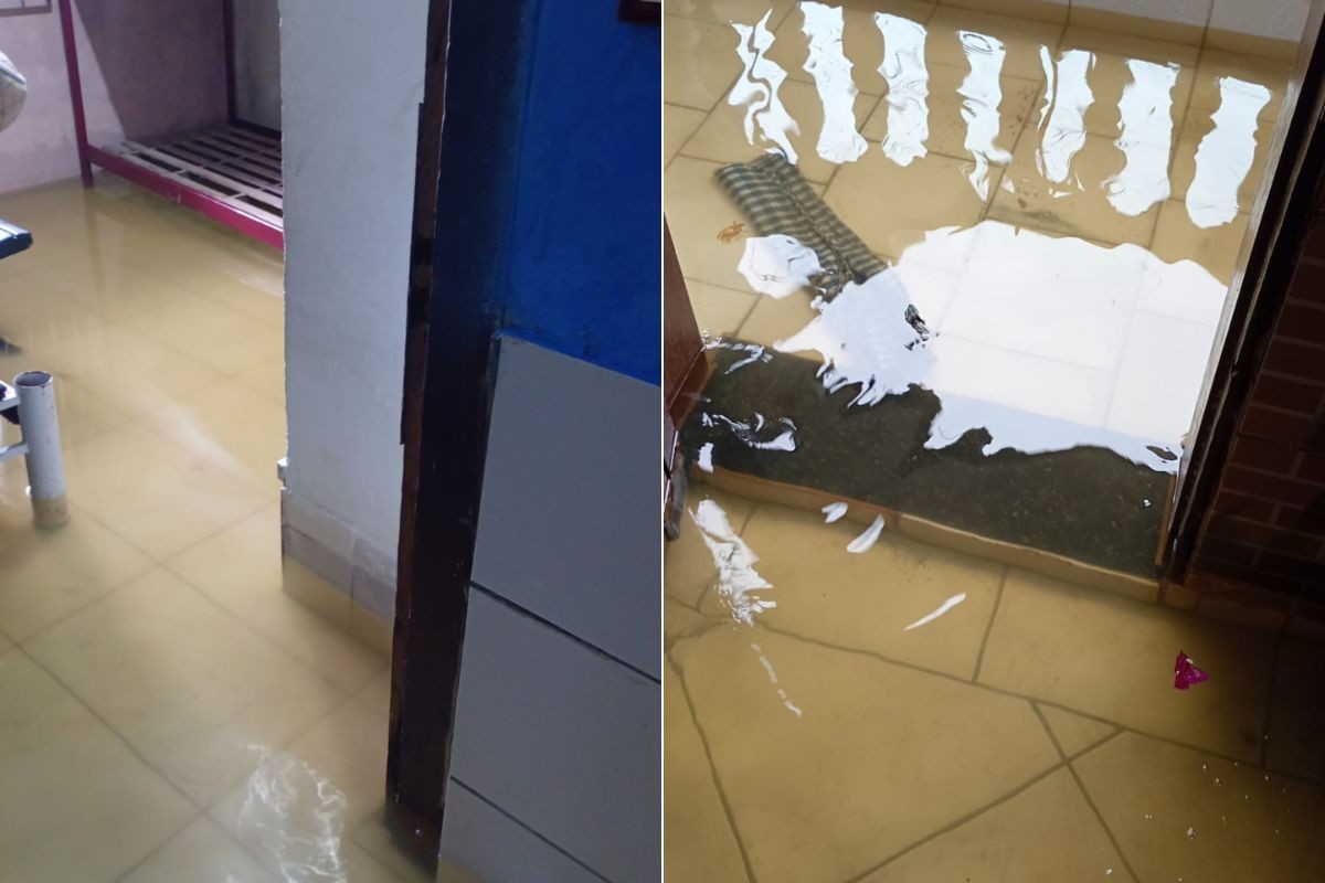 Fortes chuvas causam alagamentos, queda de árvore e aulas suspensas no litoral de SP