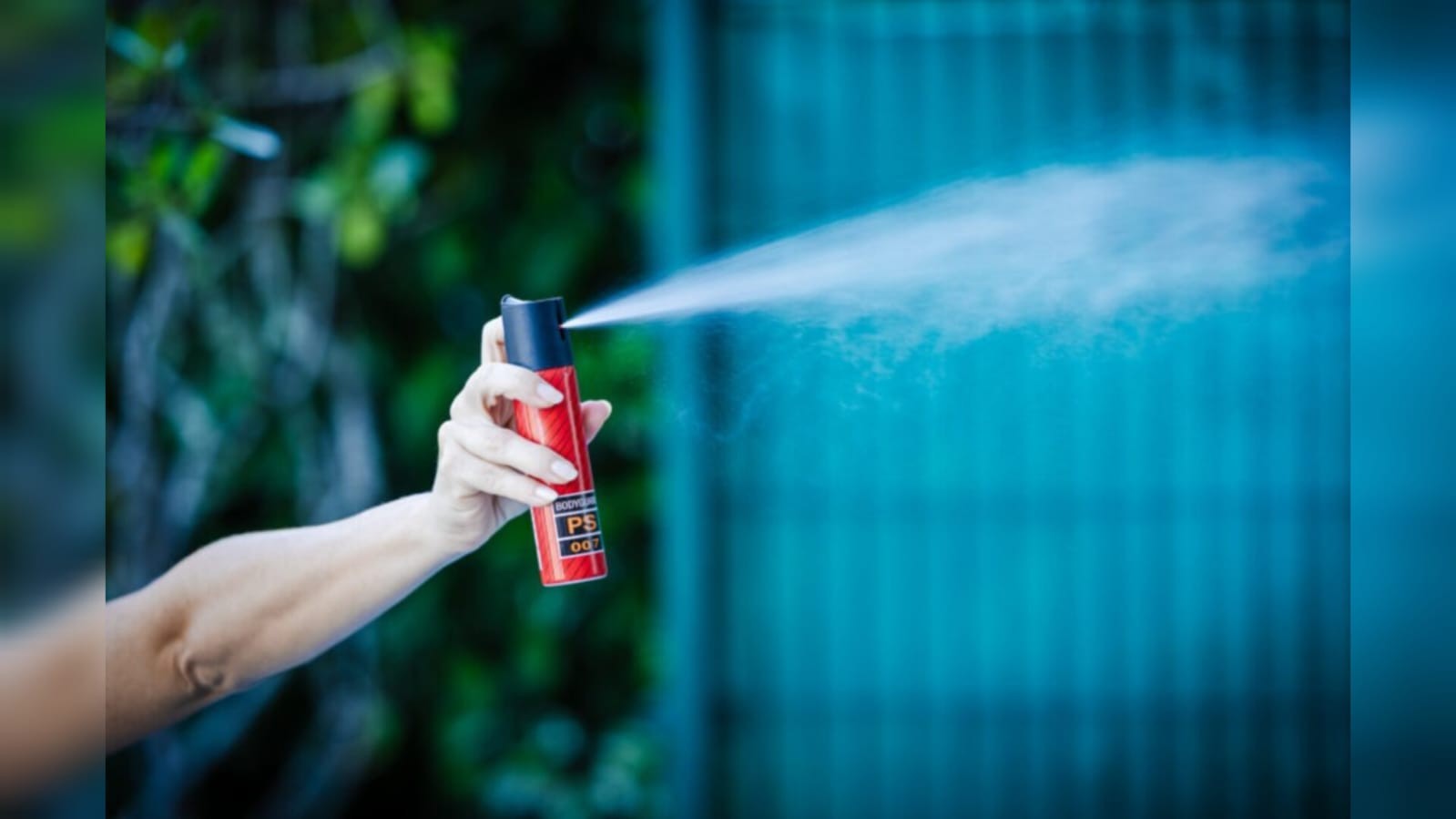 Fornecimento de spray de pimenta para mulheres com medida protetiva é aprovado na assembleia de SC